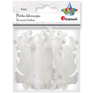 Piórka dekoracyjne Titanum Białe, 6szt